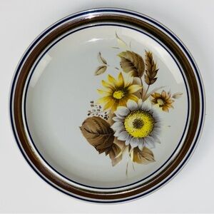 Vintage Salem Stoneware Georgetown Dinner Plate 10.5”wide